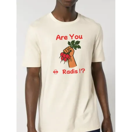 RADIS